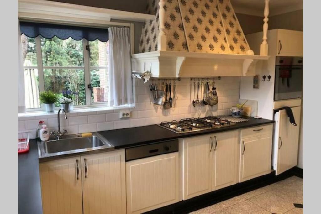 Vrijstaande Rietgedekte Villa Nabij Uitvalswegen Wassenaar Exterior photo